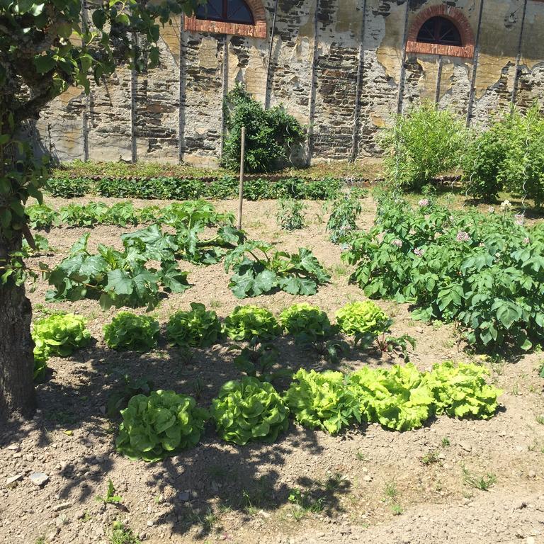 Le Manoir De Benedicte B&B Cahan ภายนอก รูปภาพ