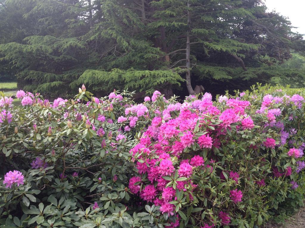 Le Manoir De Benedicte B&B Cahan ภายนอก รูปภาพ