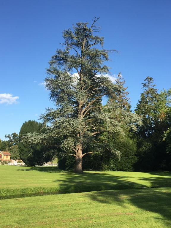 Le Manoir De Benedicte B&B Cahan ภายนอก รูปภาพ